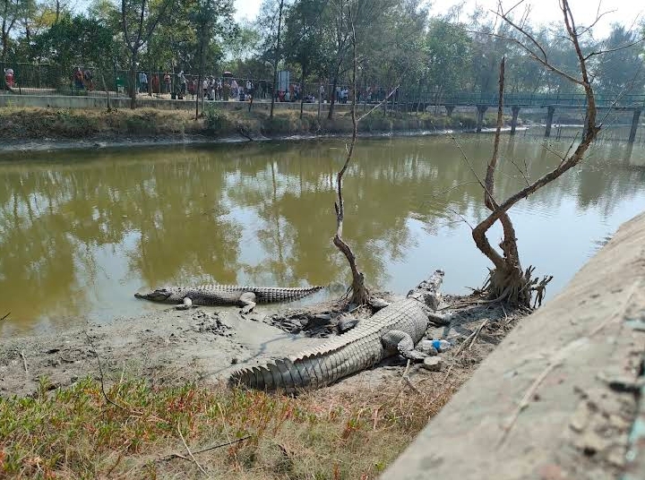Sundarban Tour Photo