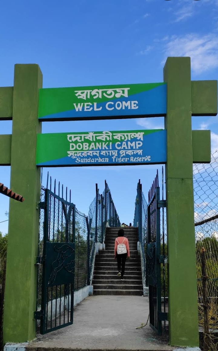 Sundarban Tour Photo