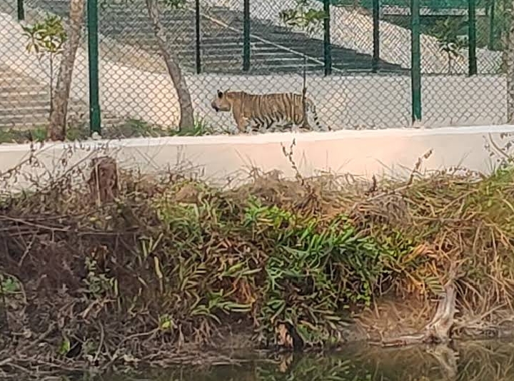 Sundarban Tour Photo